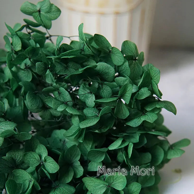 Anna Hydrangea (Color 123-164) Flowers Little Leaves Preserved Hydrangea Home Decor DIY Material Epoxy Resin Handmade Flowers
