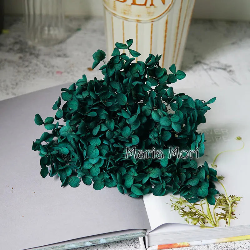 Anna Hydrangea (Color 123-164) Flowers Little Leaves Preserved Hydrangea Home Decor DIY Material Epoxy Resin Handmade Flowers