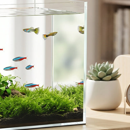 PawHut Fish Tank Bare Glass for DIY Glass Aquarium with Protective Base Mat 24L Transparent for Fish Shrimps