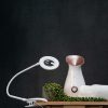 Clip on Magnifier Daylight LED