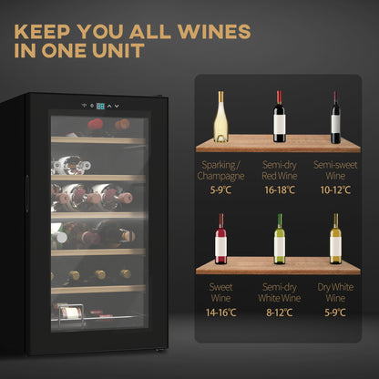 HOMCOM 24-Bottle 20℃ Wine Cooler Fridge - Black