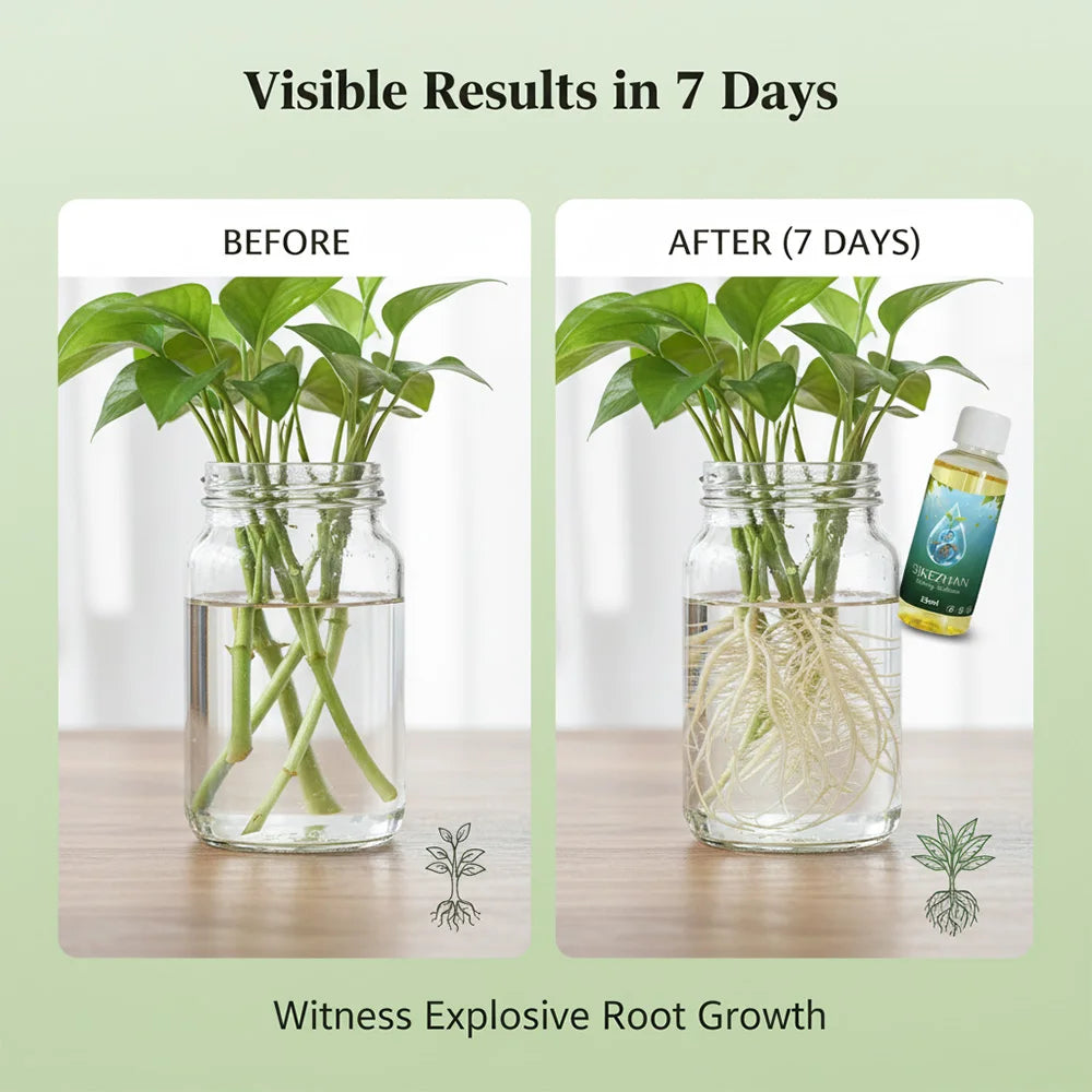 35ml Rooting Solution - A Rapid Rooting Hormone Solution for Plant Propagation, Hydroponics, Home Gardens, Herbs, Vegetables