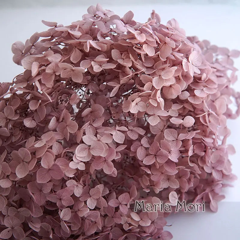 Anna Hydrangea (Color 123-164) Flowers Little Leaves Preserved Hydrangea Home Decor DIY Material Epoxy Resin Handmade Flowers