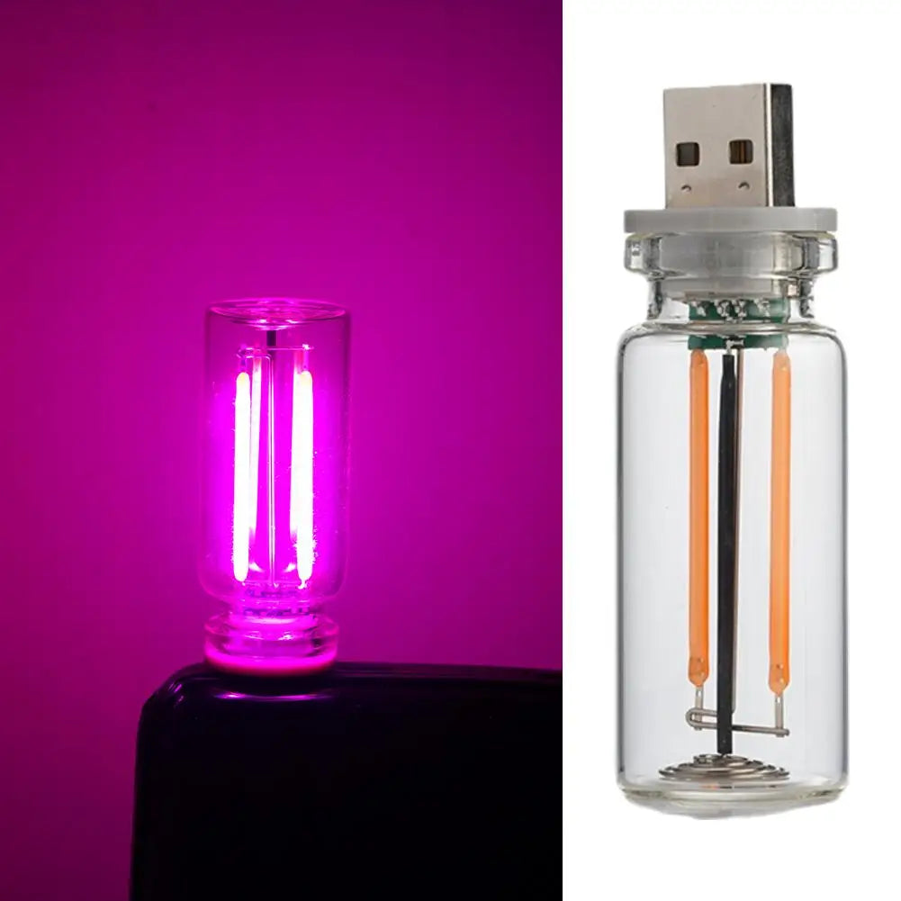 Retro USB Dual Color LED Filament Bulb, Touch Dimmable 5V Edison Night Light, Camping Incandescent Decorative LED Lighting