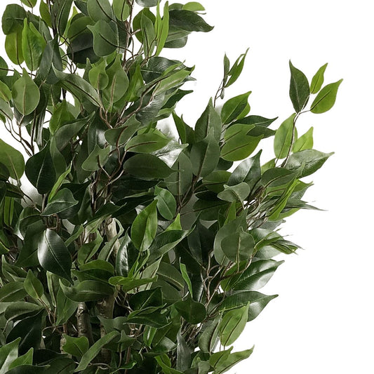 110cm Leaf Realistic Artificial Ficus Tree / Plant  Gold Curve Planter