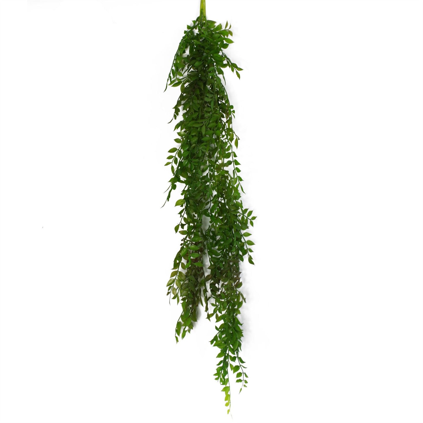 6 x 100cm Hanging String of Pearls Fern Plant Dark Green