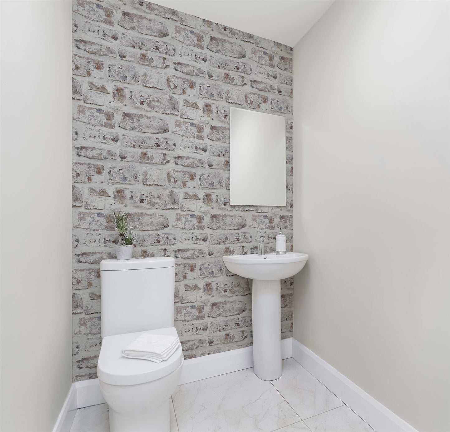 Whitewashed Wall White  sw12