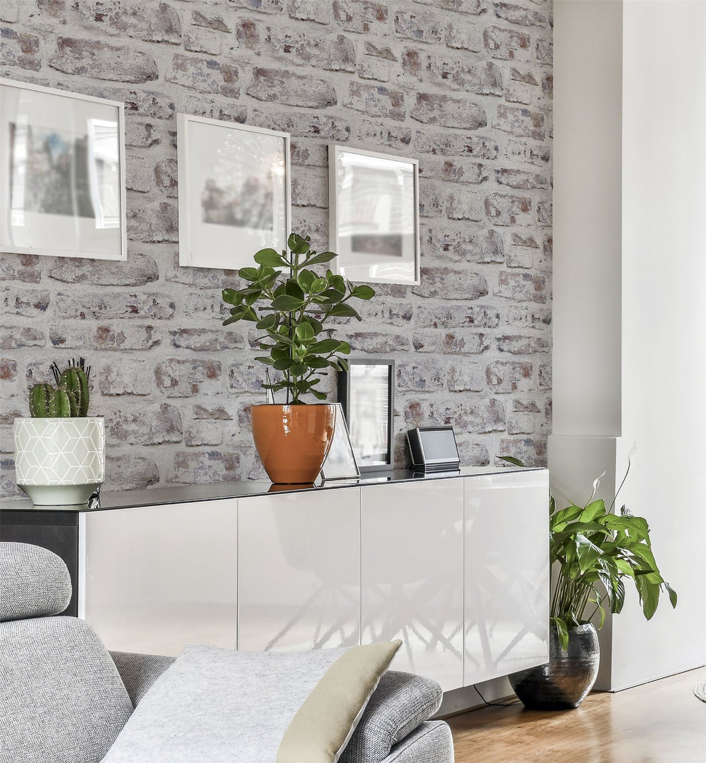 Whitewashed Wall White  sw12