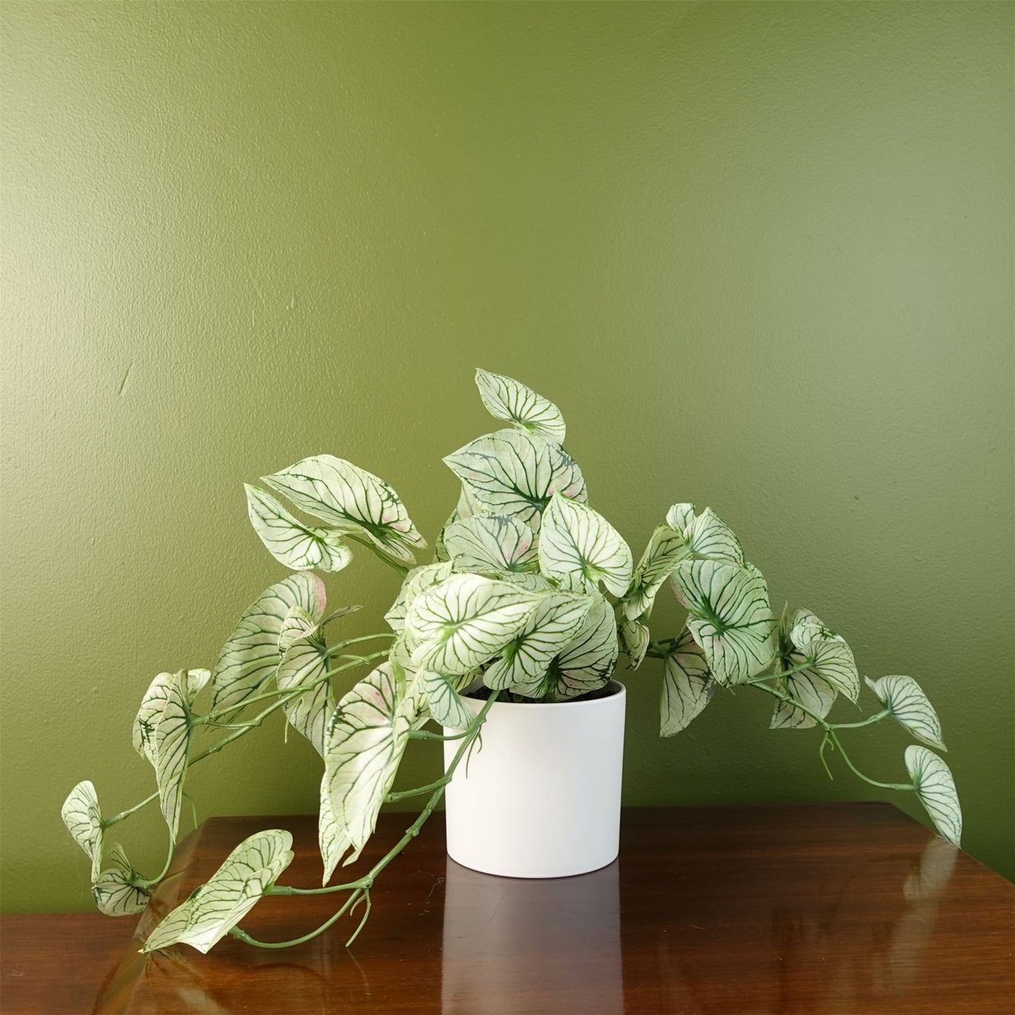 30cm Artificial Trailing Plant Realistic Variegated Potted Alocasia