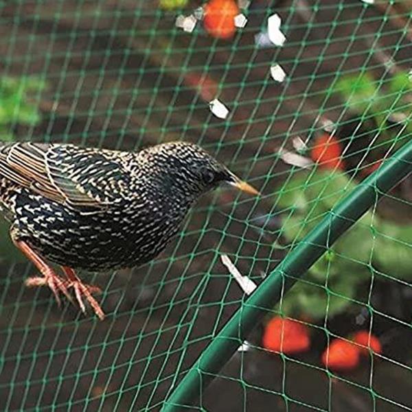 Aspect Bird Netting for Garden 2 PACK,10 X 2M Ft Garden Netting