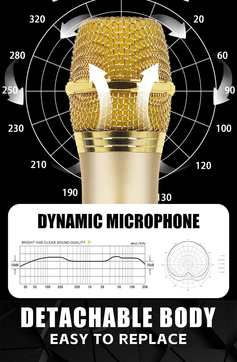 Lenovo Wireless Microphone 2.4G UHF Fixed Frequency 2 Channels Handheld Micphone For Live Party Karaoke Professional Meeting