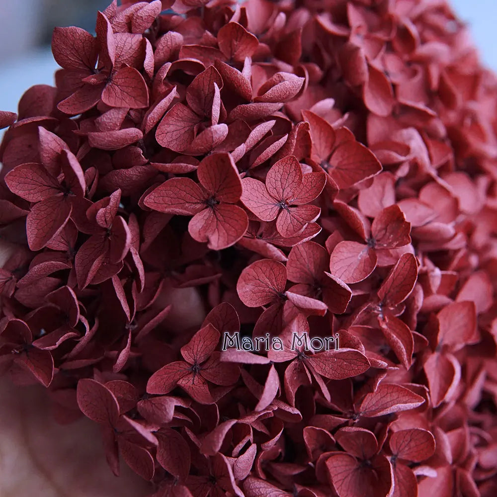 Anna Hydrangea (Color 123-164) Flowers Little Leaves Preserved Hydrangea Home Decor DIY Material Epoxy Resin Handmade Flowers