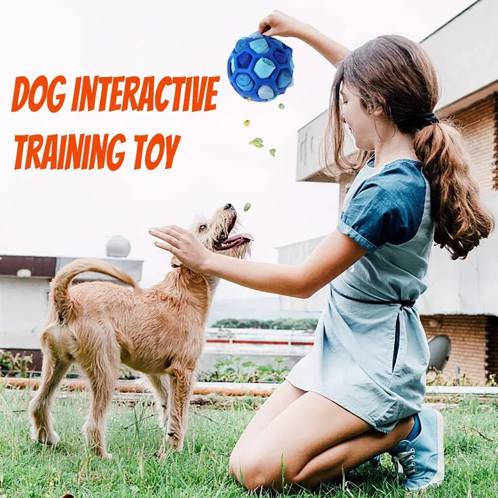 Dog Toy Snuffle Ball for Dogs Training the Sense of Smell Portable Interactive Snuffle Ball for Pet Foraging Instinct Training