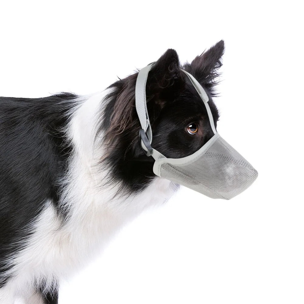 Dog Muzzle, Soft Mesh Covered Muzzles  Poisoned Bait Protection With Adjustable Straps, Prevent Biting Chewing And Licking