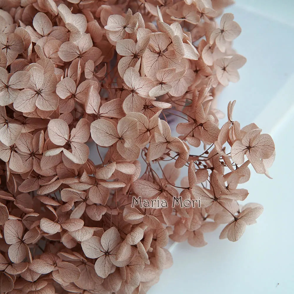 Anna Hydrangea (Color 123-164) Flowers Little Leaves Preserved Hydrangea Home Decor DIY Material Epoxy Resin Handmade Flowers
