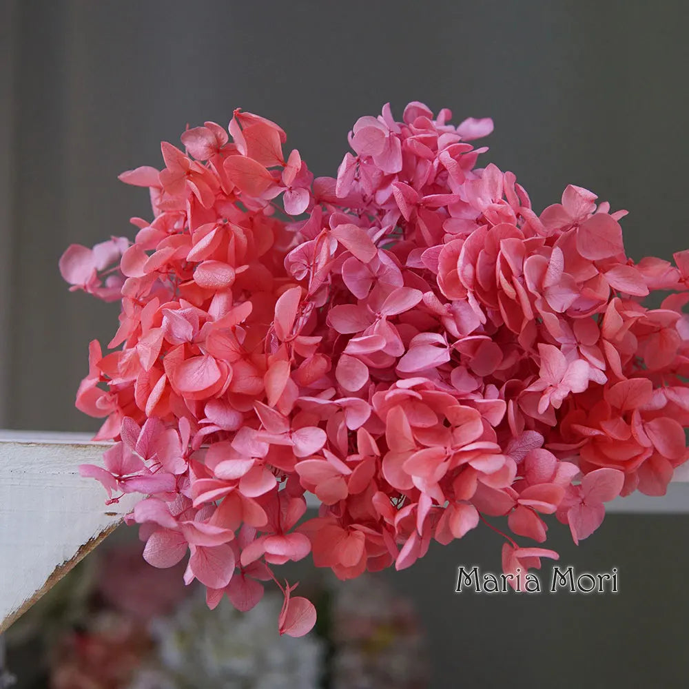 Anna Hydrangea (Color 123-164) Flowers Little Leaves Preserved Hydrangea Home Decor DIY Material Epoxy Resin Handmade Flowers