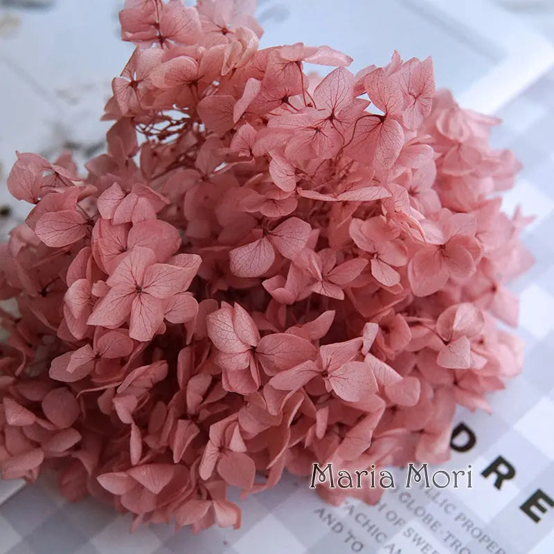 Anna Hydrangea (Color 123-164) Flowers Little Leaves Preserved Hydrangea Home Decor DIY Material Epoxy Resin Handmade Flowers