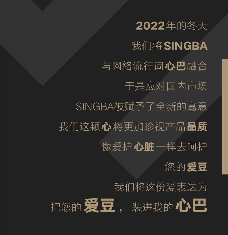 SINGBA a5 / a4 Ring Binder Album for 3" Cards - K-pop Idol Photocard Holder, Polaroid Photo Organizer (4/9 Grid, Refillable)