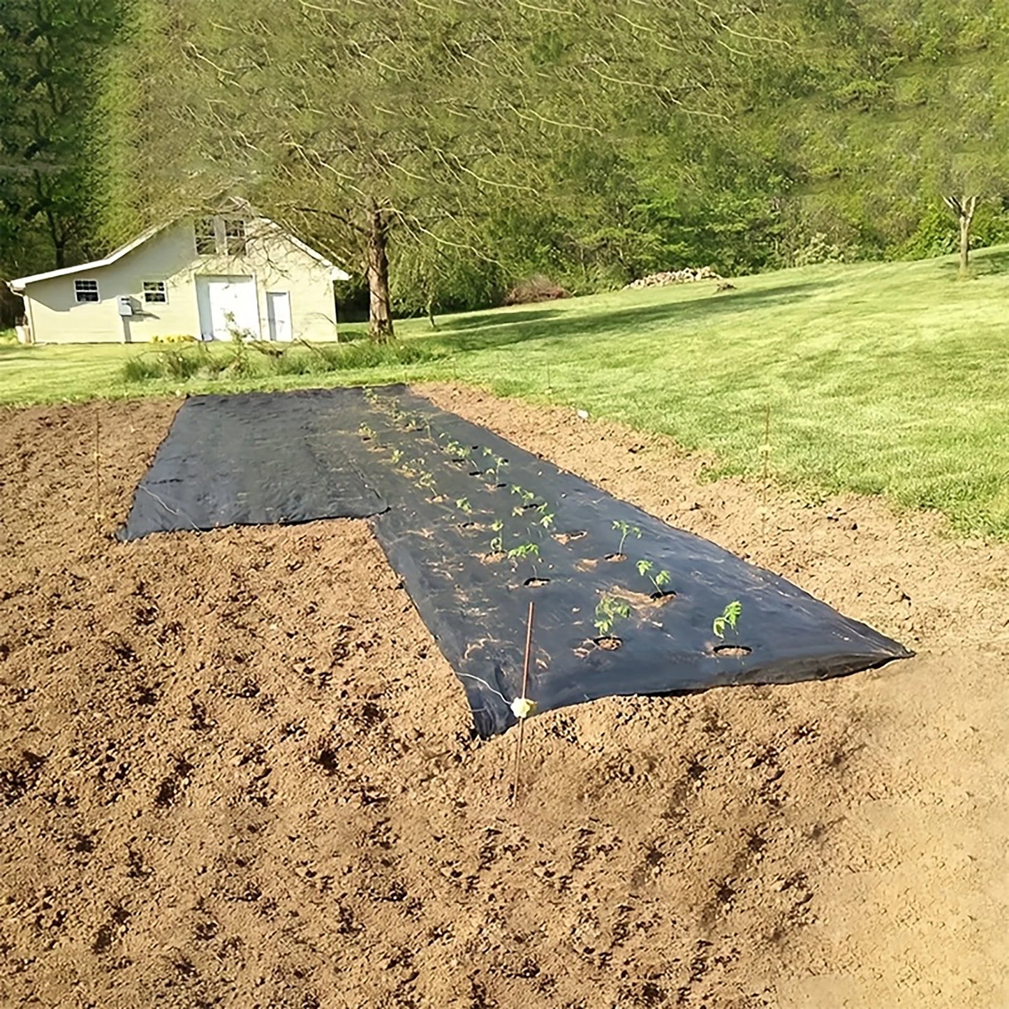Black Weed Control Cloth with Planting Holes, Suitable for Garden and Yard Use, Vegetable and Fruit Planting, and Weed Control