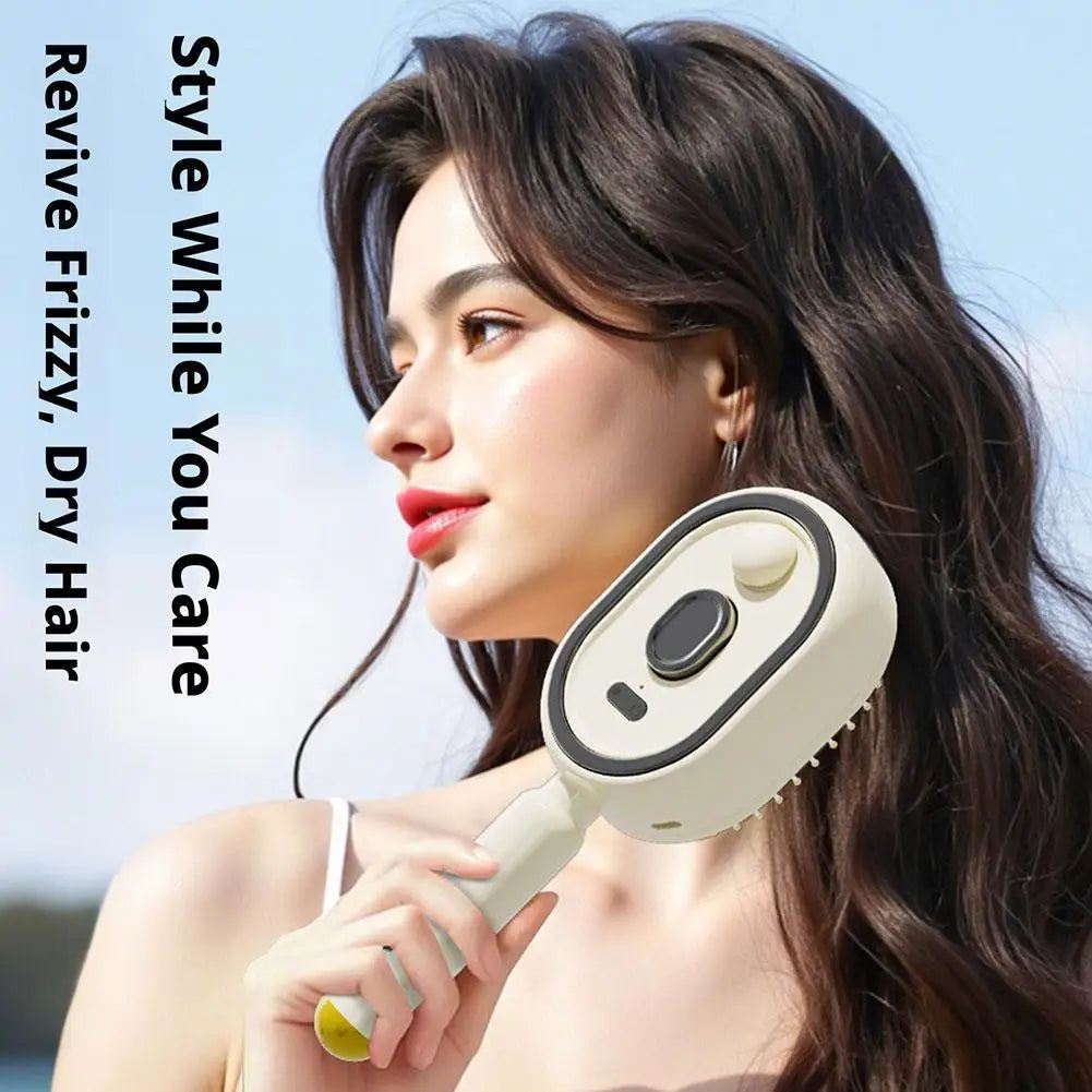 Electric Spray Air Cushions Massage Comb 3 in 1 Self Cleaning Steam Essential Oil Brush Rechargeable Spray Scalp Massager Combs
