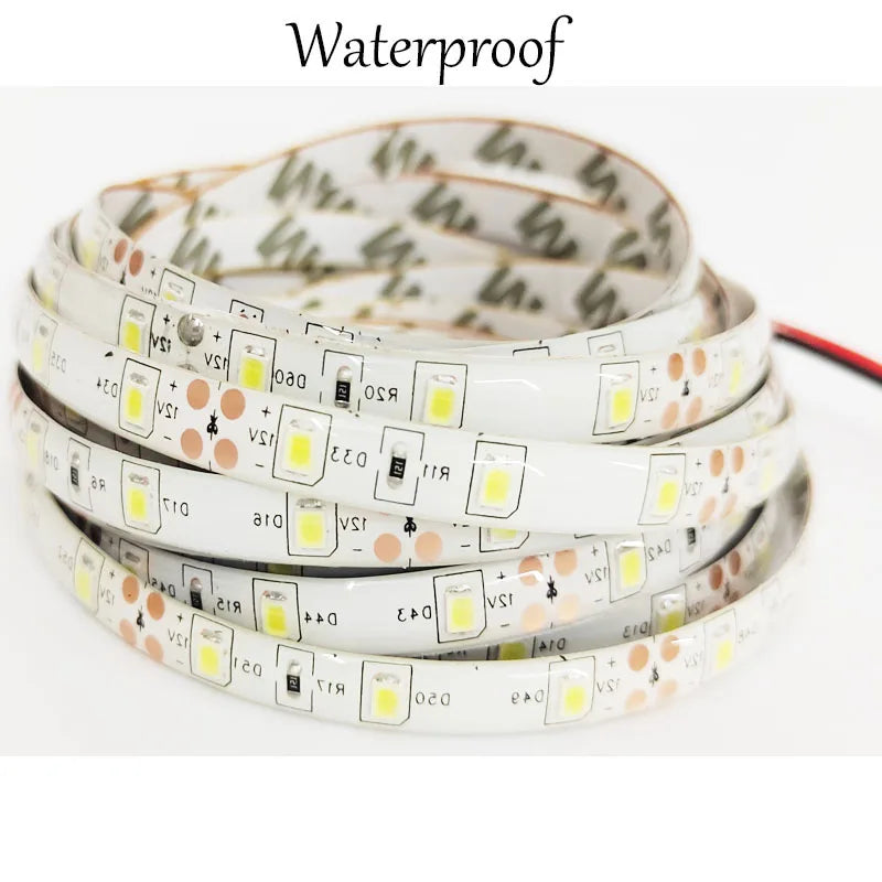 LED Strip light 12V 0.5m 1m 2m 3m 4m 5m SMD Flexible 60leds/m Waterproof non/IP65 LED Diode Tape