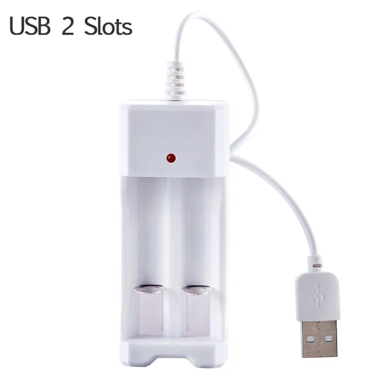 AA  / AAA Battery Charger 2 4 Slots AC 110V 220V For NI-MH /NI-CD AA  AAA Charging 1.2V Rechargeable Battery Charger