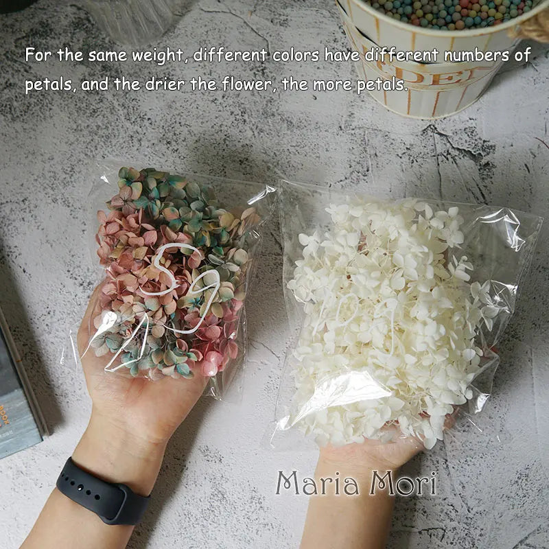 Anna Hydrangea (Color 123-164) Flowers Little Leaves Preserved Hydrangea Home Decor DIY Material Epoxy Resin Handmade Flowers