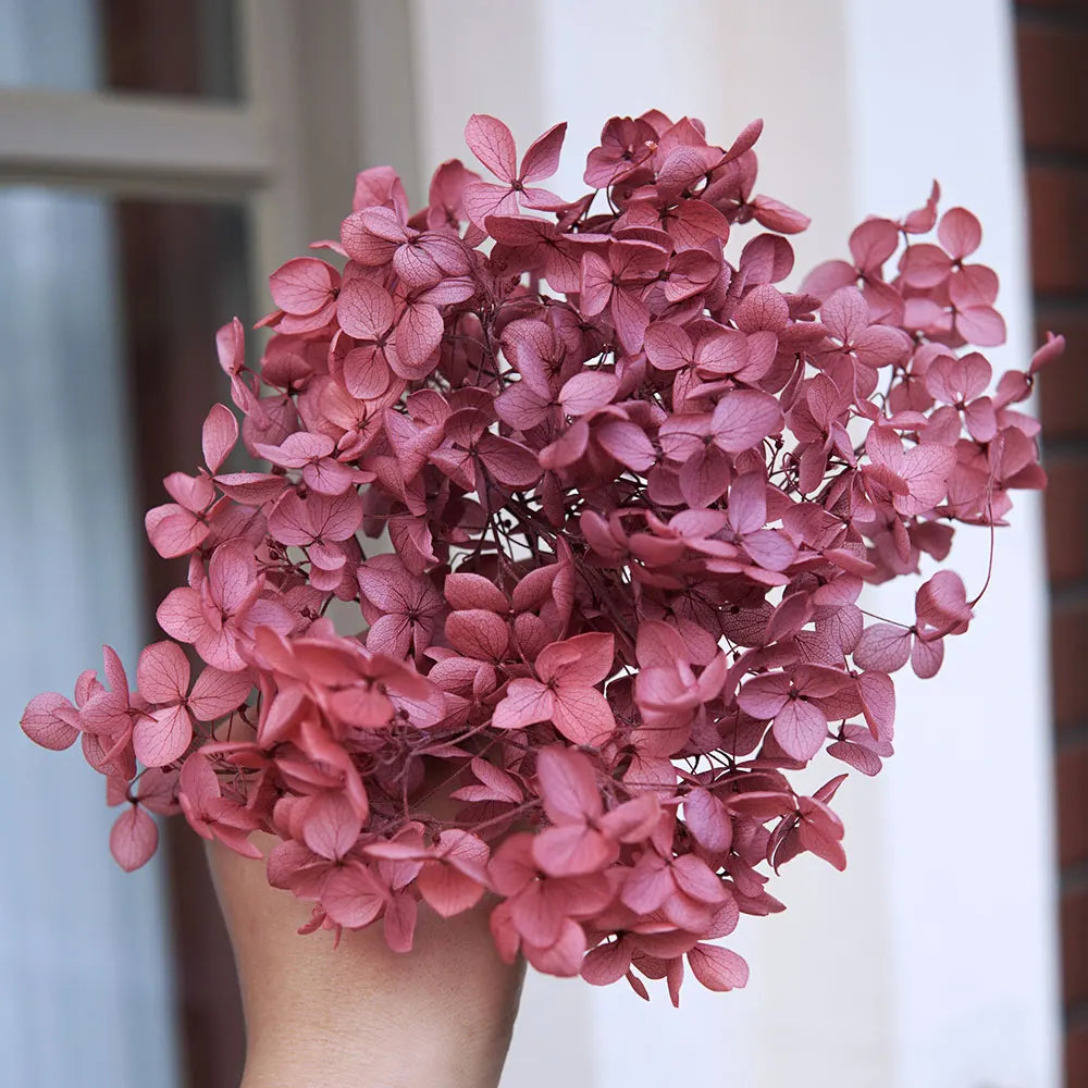 Anna Hydrangea (Color 123-164) Flowers Little Leaves Preserved Hydrangea Home Decor DIY Material Epoxy Resin Handmade Flowers