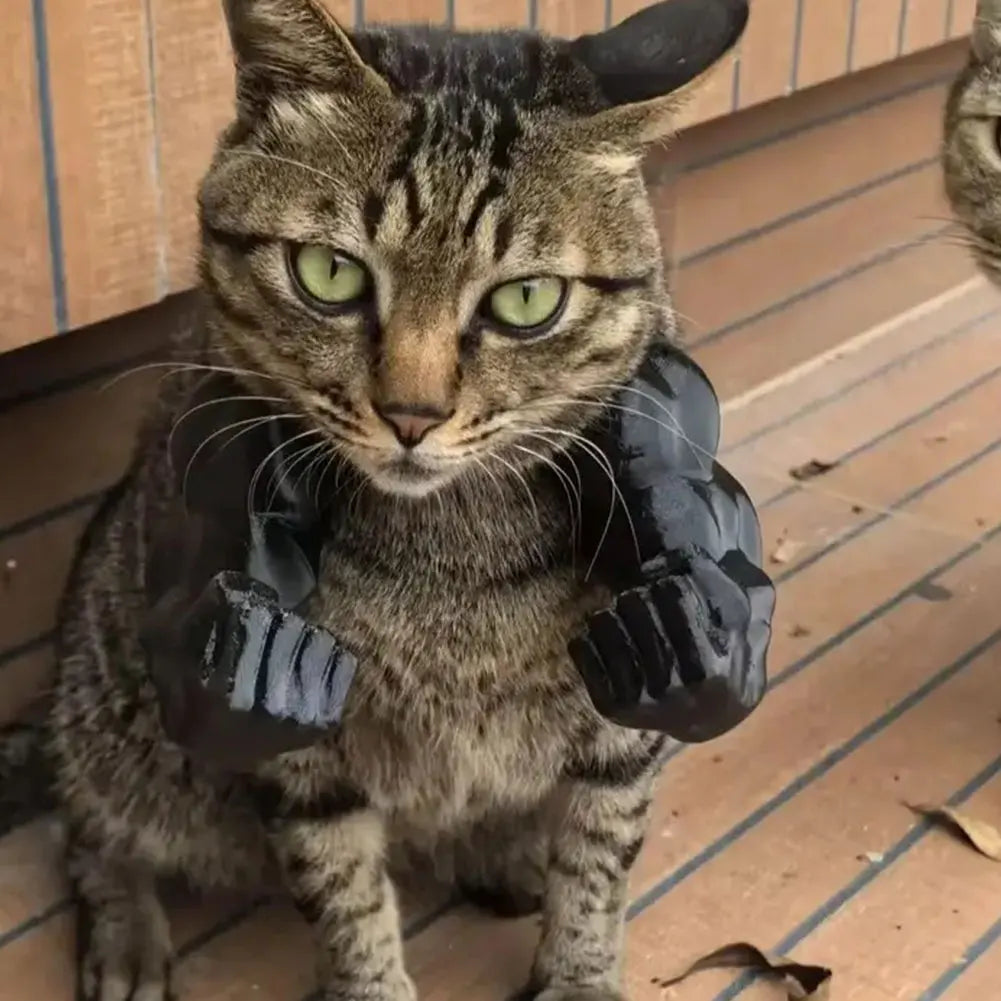 Cat Muscle Arms 3D Printed Cat Neck Arms with Muscles Superhero Cosplay for Party Halloween Birthday Costume Accessories