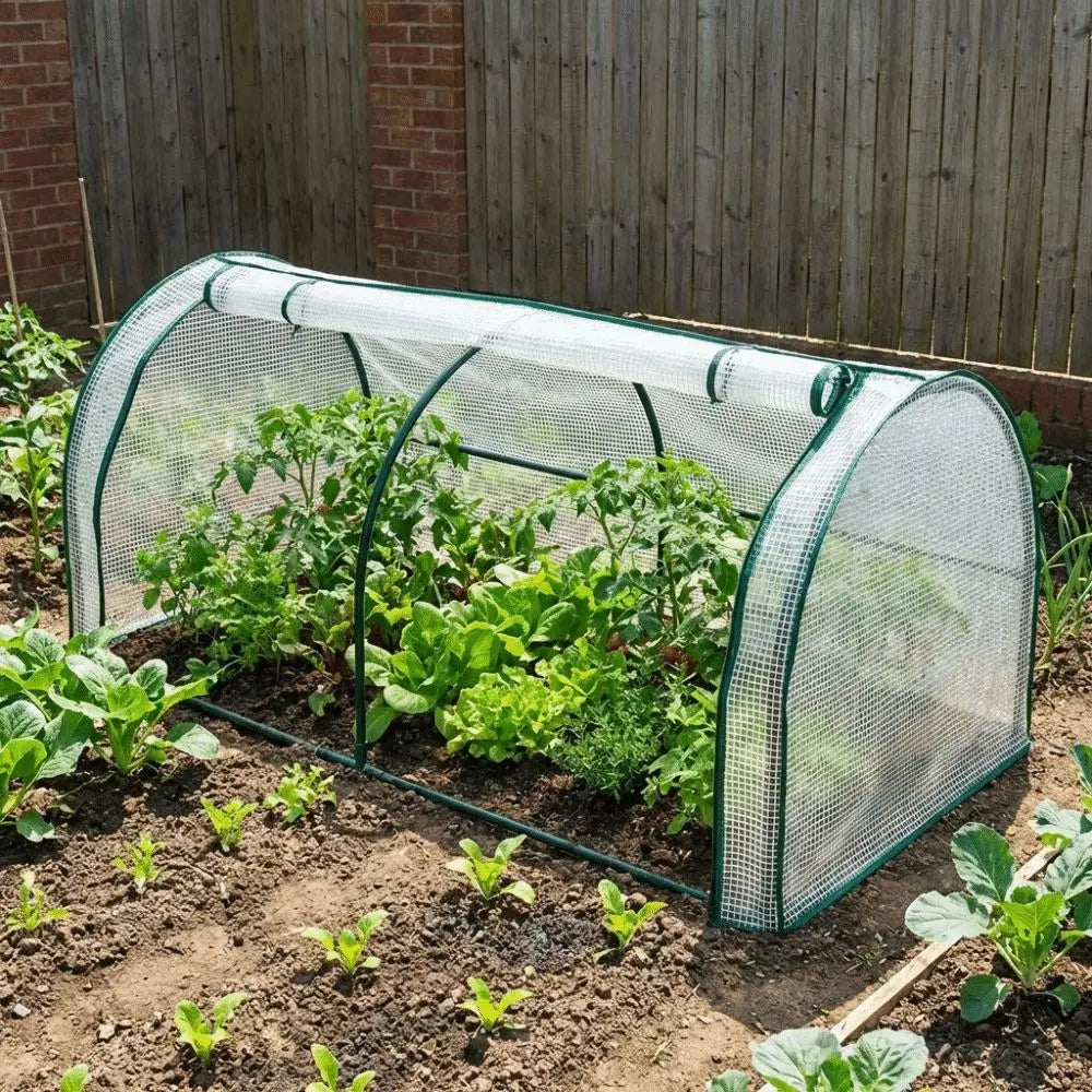 Transparent Mini Plant Greenhouse Plastic Waterproof Insulation Cover Bird-proof Efficient Protect Plant Grow Tent Backyard