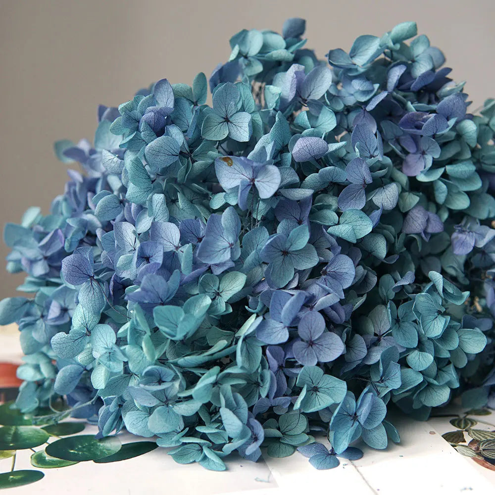 Anna Hydrangea (Color 123-164) Flowers Little Leaves Preserved Hydrangea Home Decor DIY Material Epoxy Resin Handmade Flowers