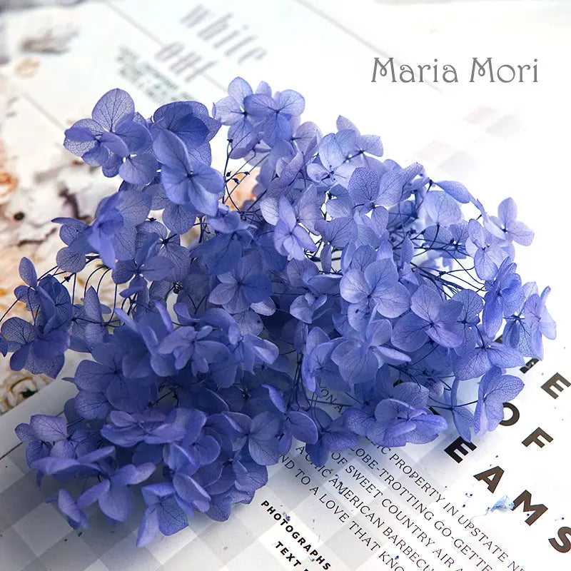 Anna Hydrangea (Color 123-164) Flowers Little Leaves Preserved Hydrangea Home Decor DIY Material Epoxy Resin Handmade Flowers