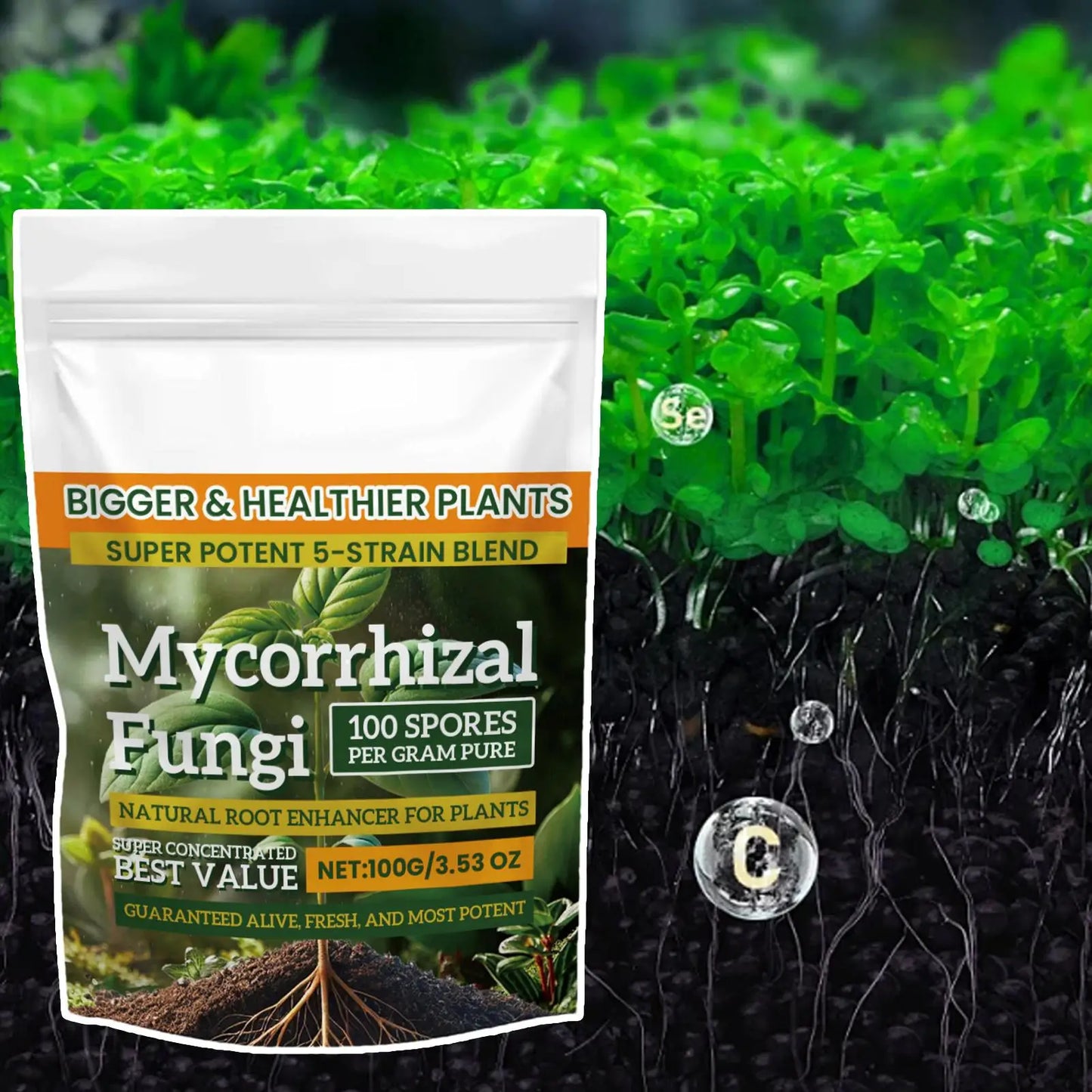 100g Plant Fertilizer Powder Plant Growth Nutrient Fertilizer Safe and Effective Rooting Supplement for Soil Culture Hydroponics