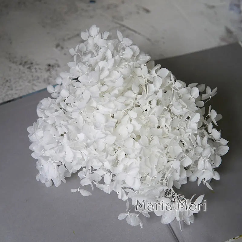 Anna Hydrangea (Color 123-164) Flowers Little Leaves Preserved Hydrangea Home Decor DIY Material Epoxy Resin Handmade Flowers
