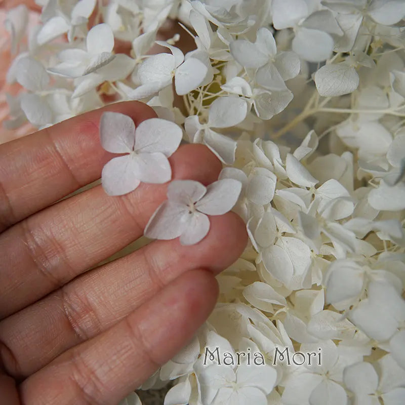 Anna Hydrangea (Color 123-164) Flowers Little Leaves Preserved Hydrangea Home Decor DIY Material Epoxy Resin Handmade Flowers