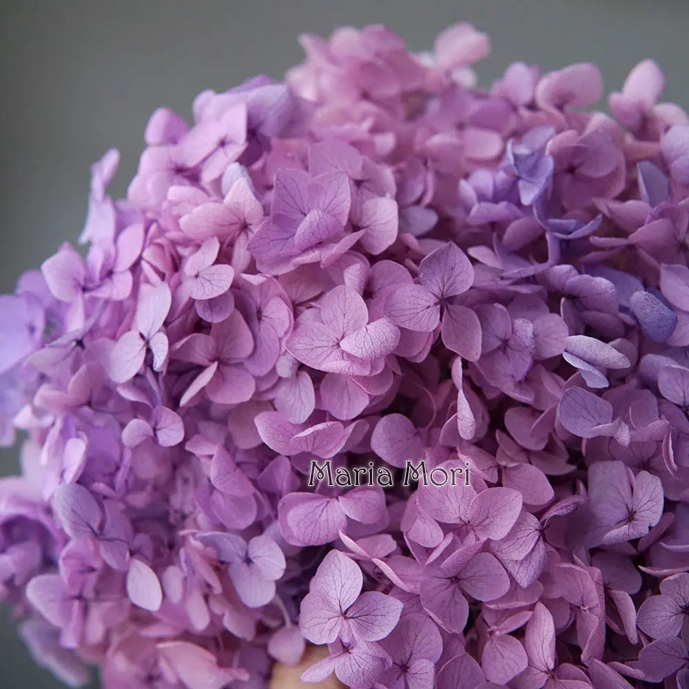 Anna Hydrangea (Color 123-164) Flowers Little Leaves Preserved Hydrangea Home Decor DIY Material Epoxy Resin Handmade Flowers