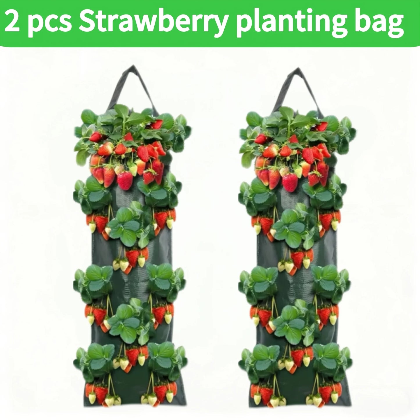 Multi Functional Vegetable and Fruit Planting Bag, Wall Mounted Foldable Planting Bag, Home Gardening, Balcony Vegetable Garden