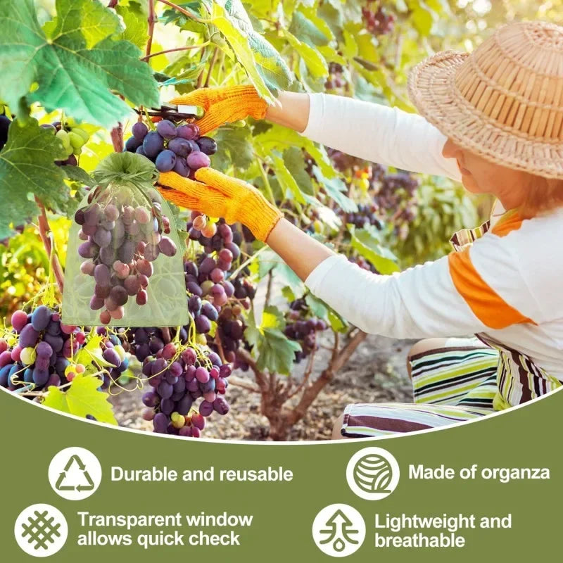 50/100 Fruit Protection Bags Anti-Bird Garden Netting Bags Strawberry Grapes Mesh Bag Plante Vegetable Netting Cover Garden Tool