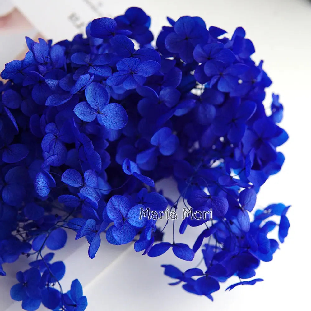 Anna Hydrangea (Color 123-164) Flowers Little Leaves Preserved Hydrangea Home Decor DIY Material Epoxy Resin Handmade Flowers