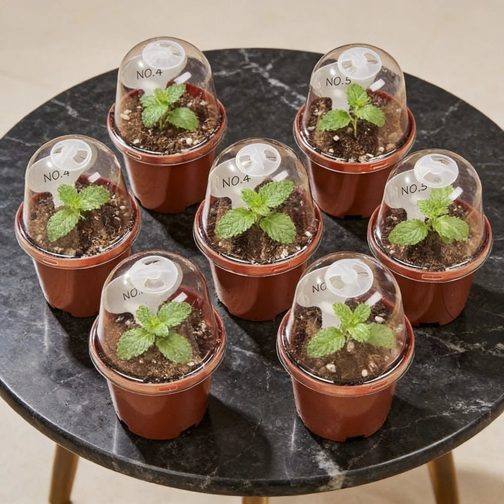 18 Piece Set (9 Pots+9 Lids), Infrared Black Inner Circular Plastic Flowerpot. Suitable for Gardens, Balconies, and Home Decor
