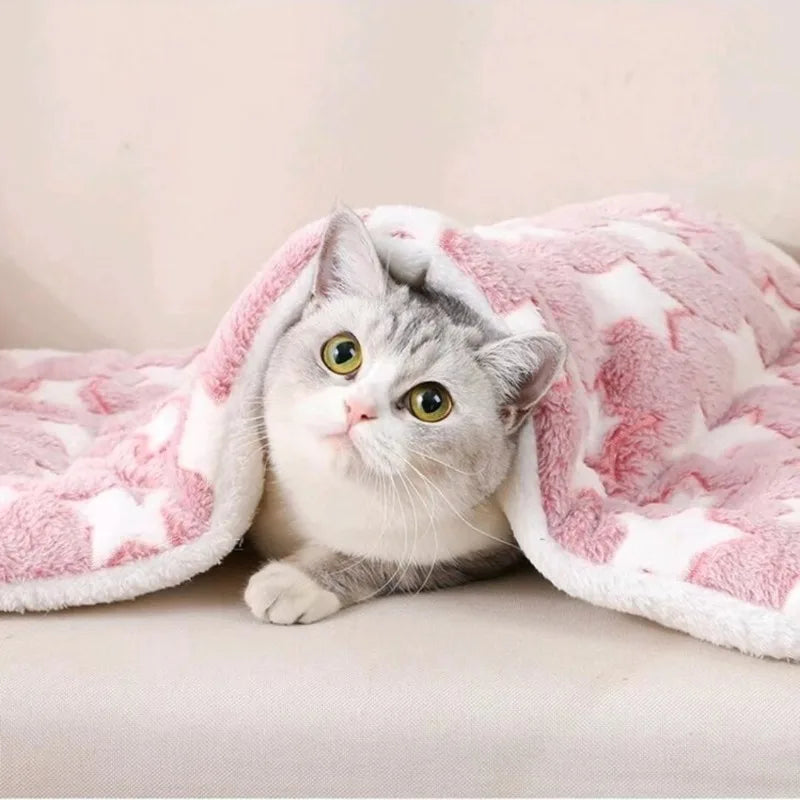 Thickened Comfortable Warm Small Cat Sleeping Cushion Skin-friendly Cute Winter Medium Dog Sofa Mat for Puppy Bed Accessories