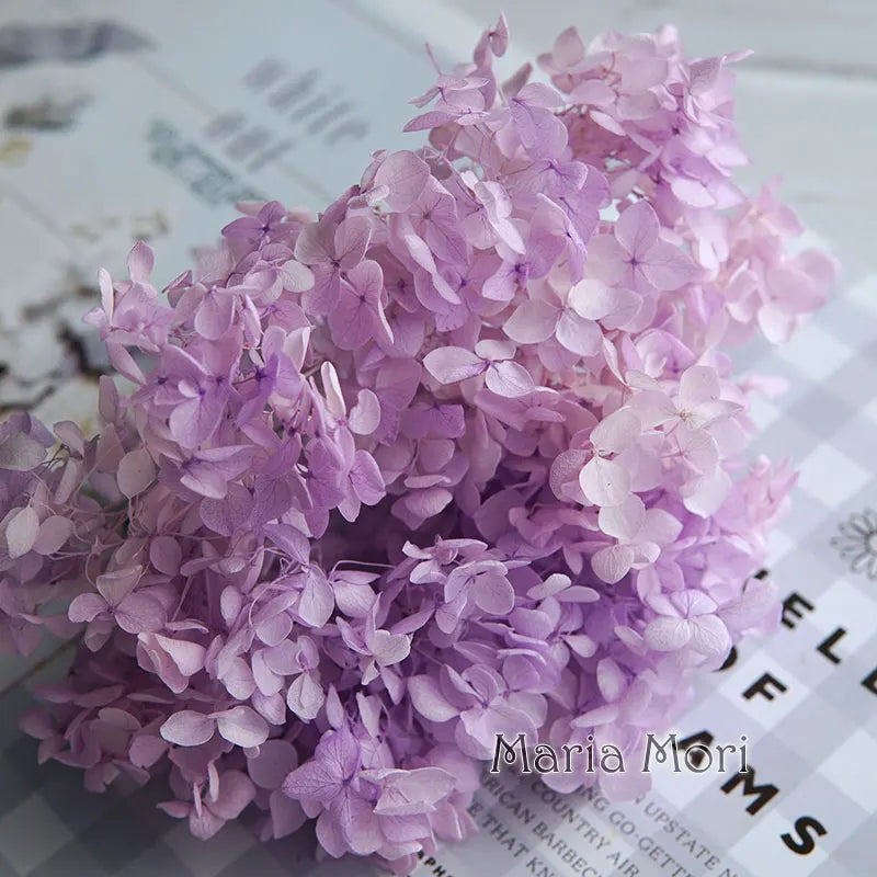 Anna Hydrangea (Color 123-164) Flowers Little Leaves Preserved Hydrangea Home Decor DIY Material Epoxy Resin Handmade Flowers
