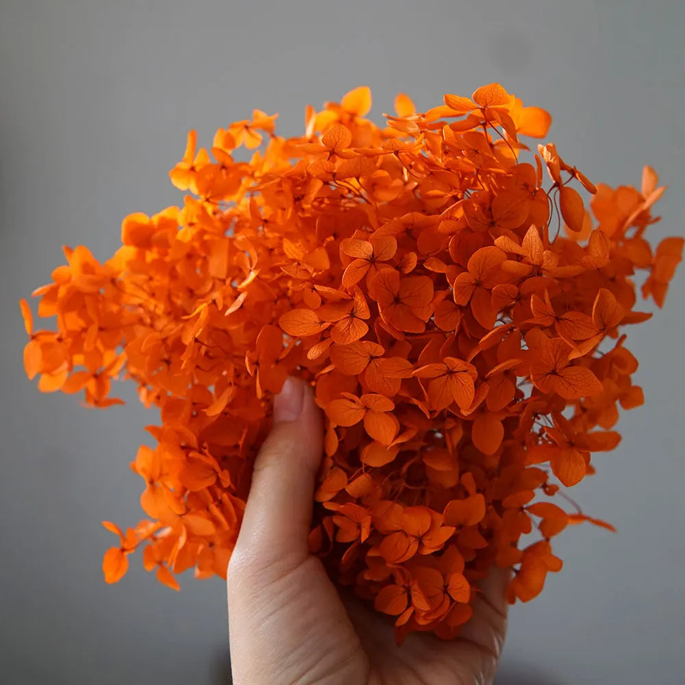Anna Hydrangea (Color 123-164) Flowers Little Leaves Preserved Hydrangea Home Decor DIY Material Epoxy Resin Handmade Flowers