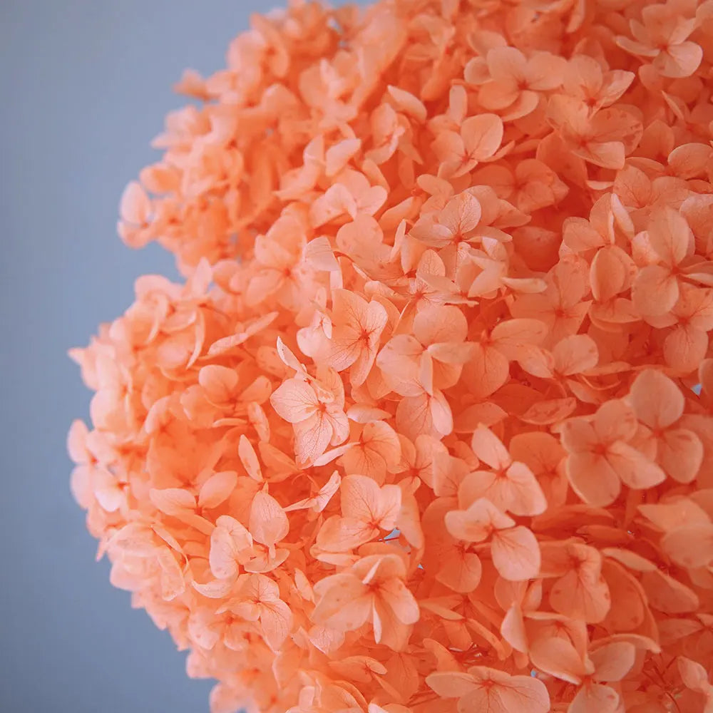 Anna Hydrangea (Color 123-164) Flowers Little Leaves Preserved Hydrangea Home Decor DIY Material Epoxy Resin Handmade Flowers
