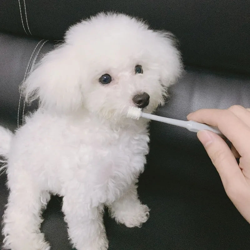 360° Pet Toothbrush Cat Toothbrush Soft Brush for Dog Mouth Cleaning Brush Pet Dental Care Cat Tongue Sensory Cleaning Brush