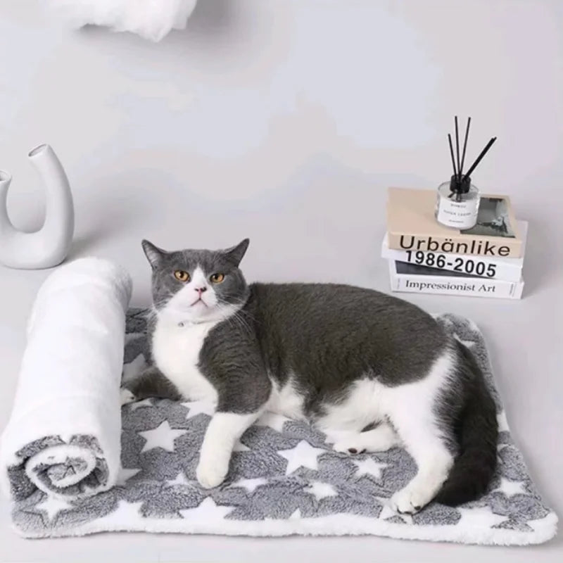 Thickened Comfortable Warm Small Cat Sleeping Cushion Skin-friendly Cute Winter Medium Dog Sofa Mat for Puppy Bed Accessories