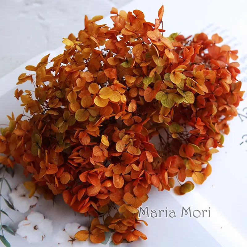 Anna Hydrangea (Color 123-164) Flowers Little Leaves Preserved Hydrangea Home Decor DIY Material Epoxy Resin Handmade Flowers