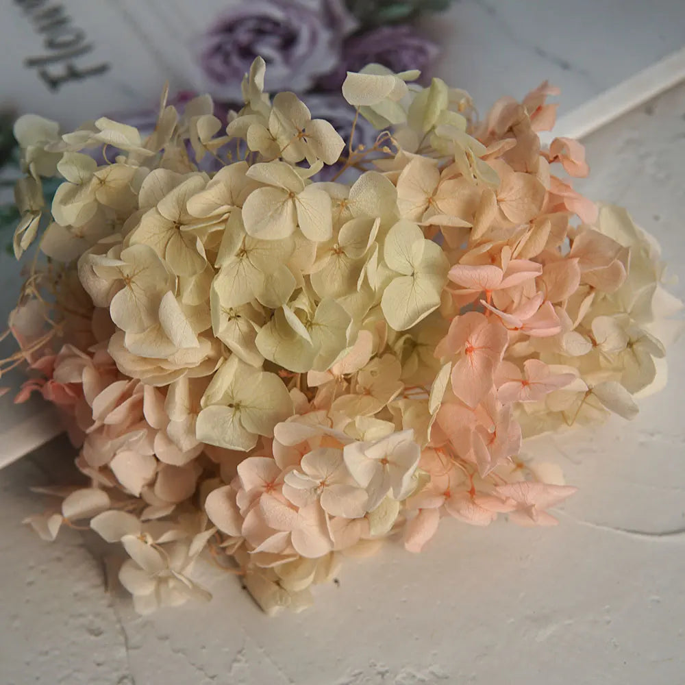 Anna Hydrangea (Color 123-164) Flowers Little Leaves Preserved Hydrangea Home Decor DIY Material Epoxy Resin Handmade Flowers