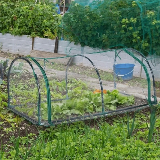Transparent Mini Plant Greenhouse Plastic Waterproof Insulation Cover Bird-proof Efficient Protect Plant Grow Tent Backyard