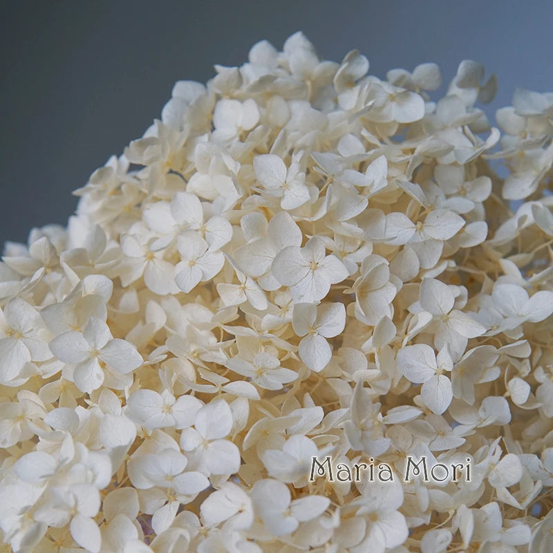 Anna Hydrangea (Color 123-164) Flowers Little Leaves Preserved Hydrangea Home Decor DIY Material Epoxy Resin Handmade Flowers